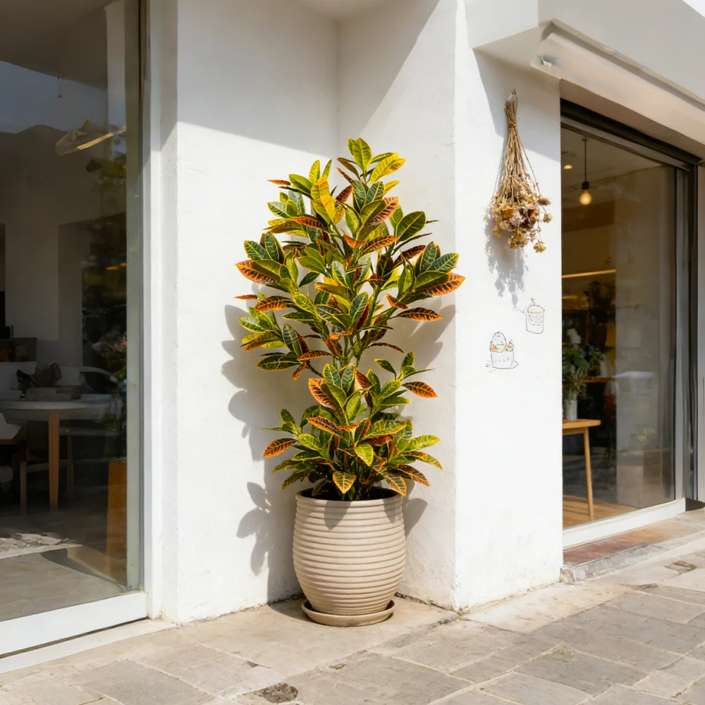 Ritadecor 80-120cm Artificial Croton Tree Fake Ficus