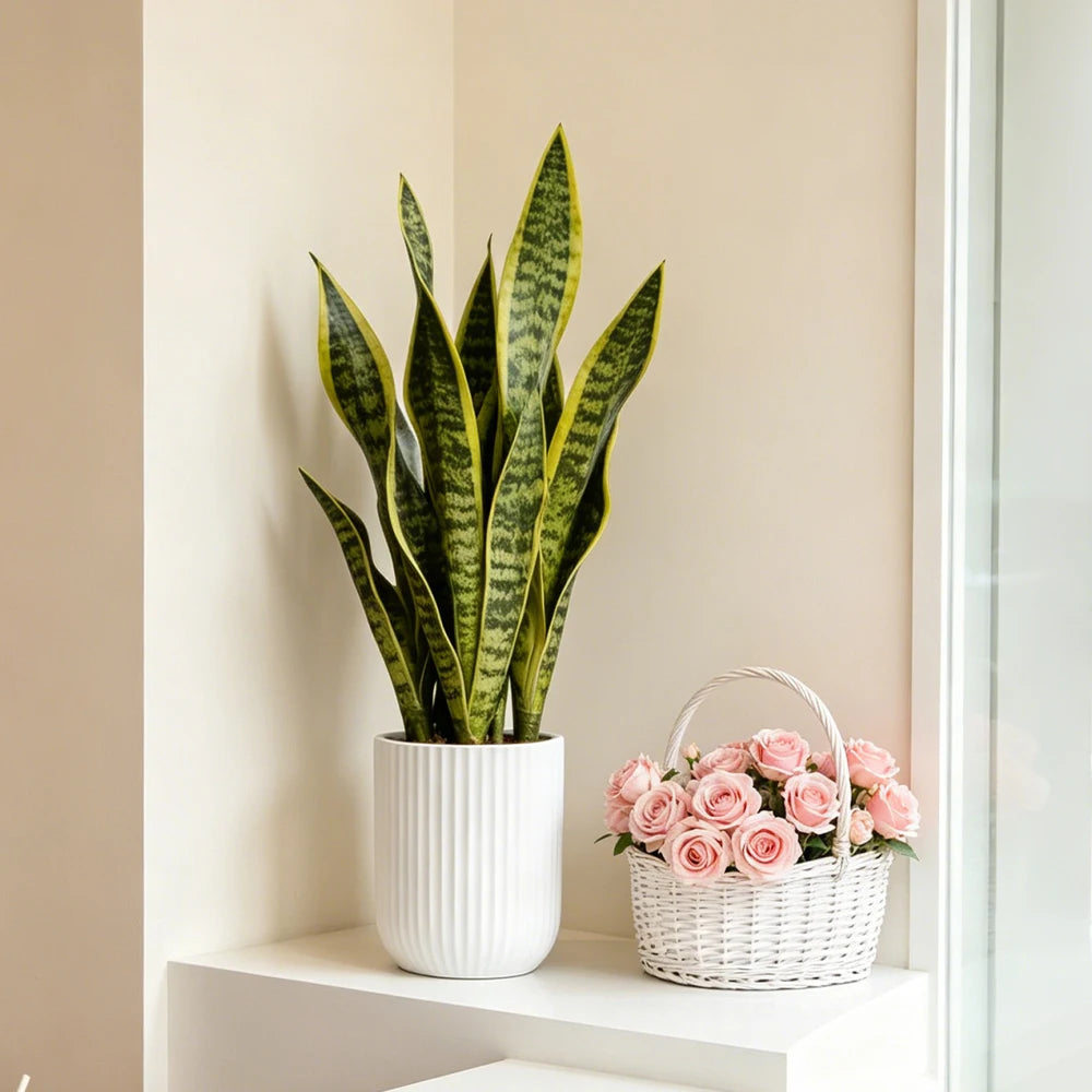 Ritadecor 31/37cm Artificial Snake Plant Fake Succulent