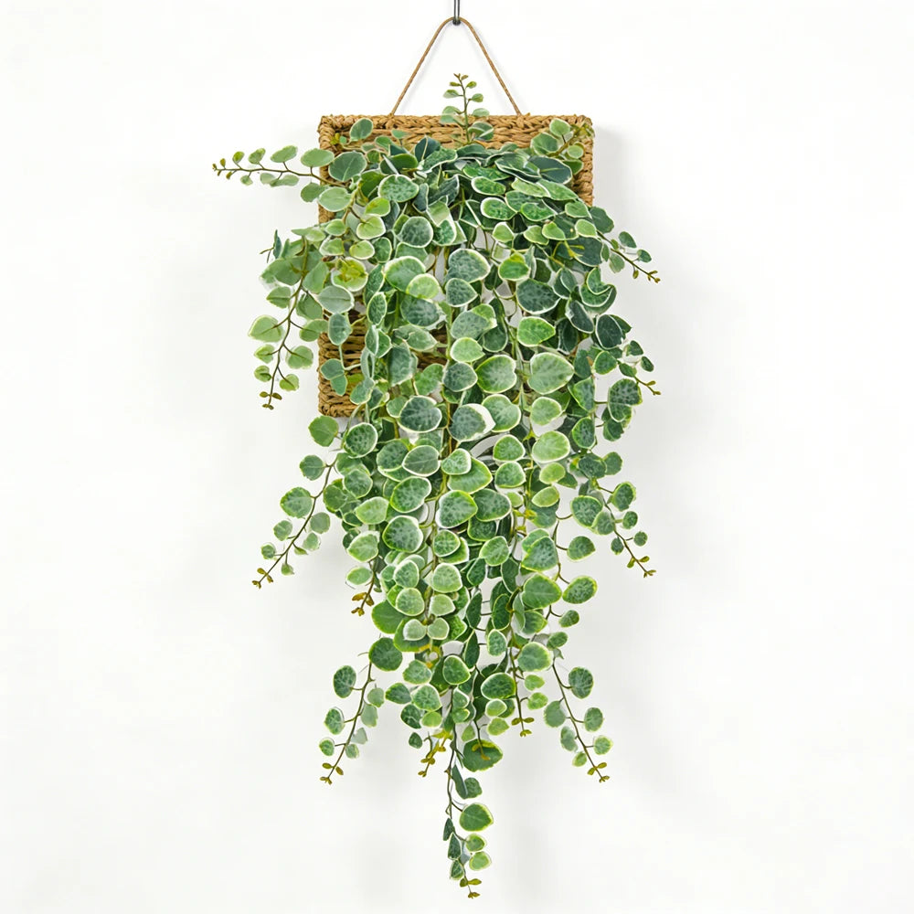 Hanging & Trailing Plants