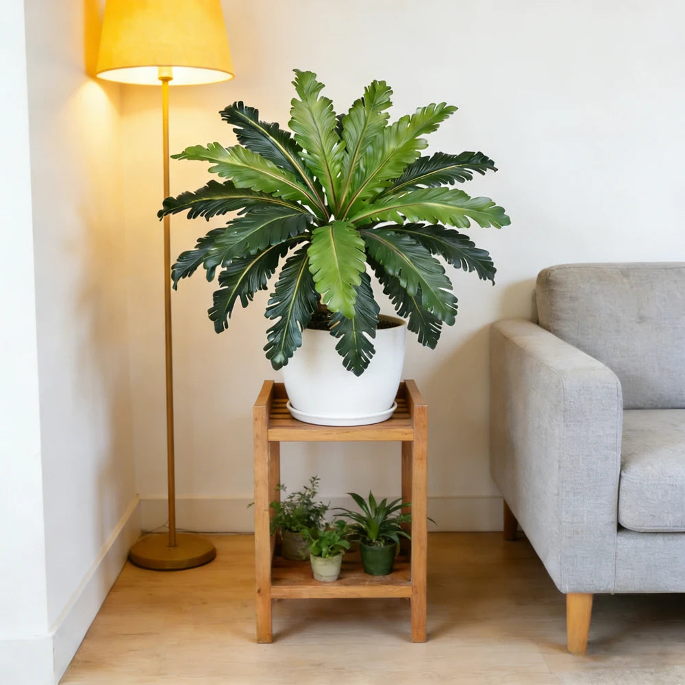 Ritadecor 45-50cm Artificial Fern Plant Fake Persian Leaf