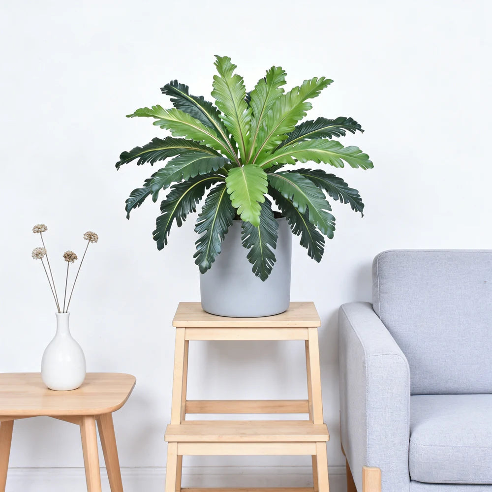 Ritadecor 45-50cm Artificial Fern Plant Fake Persian Leaf