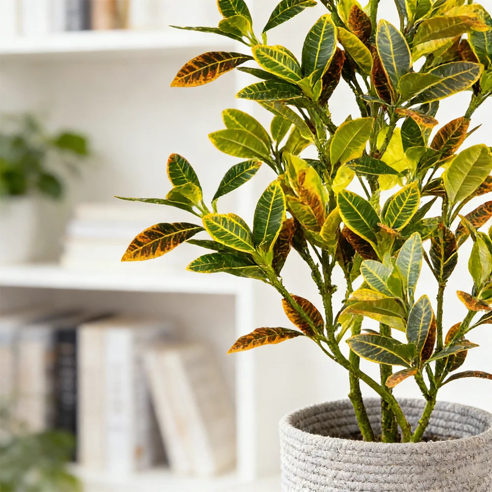 Ritadecor 80-120cm Artificial Croton Tree Fake Ficus