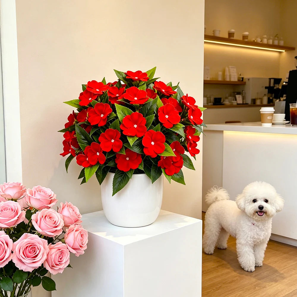 Seasonal & Flowering