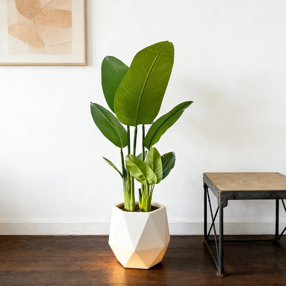 Ritadecor 37/77cm Artificial Bird of Paradise Fake Palm